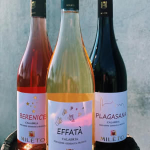Vino di Mileto / Feroleto della Chiesa 0,7l //Abverkauf