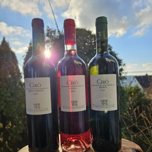 Vino di Ciro Marina // Bester Wein aus Kalabrien