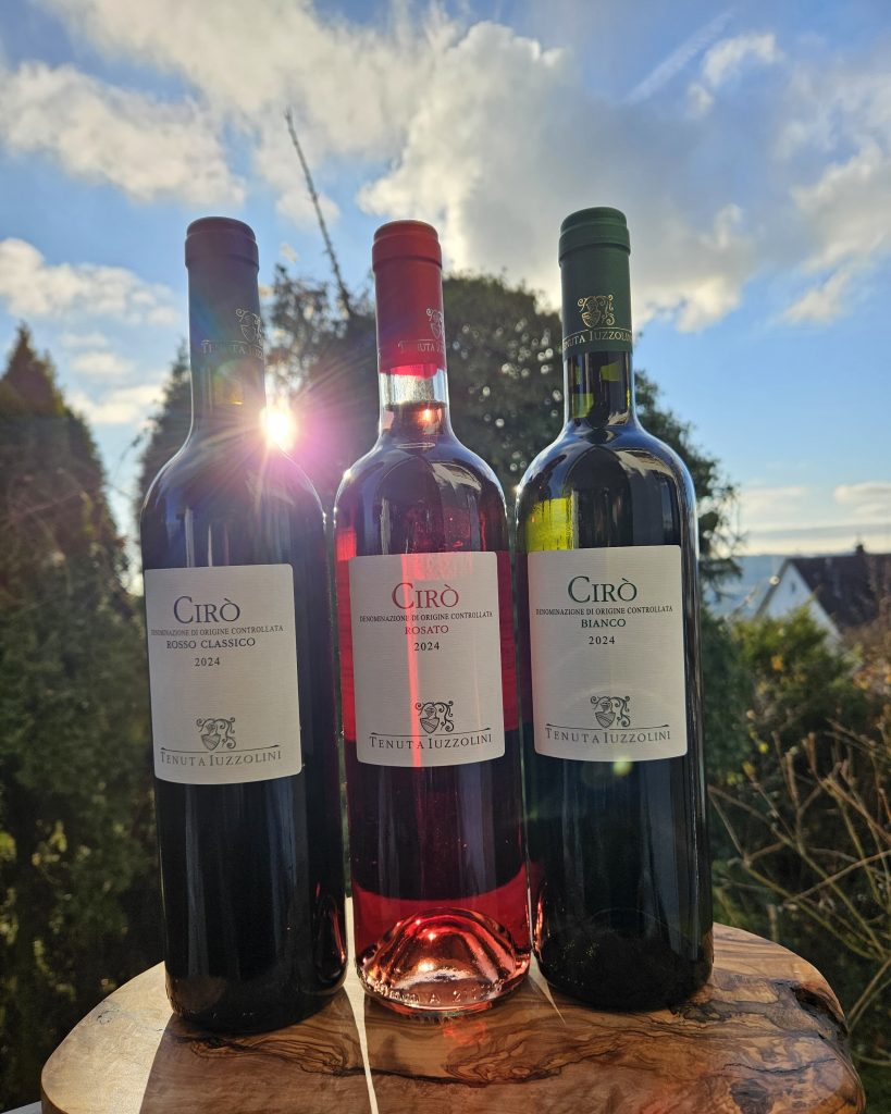 Vino di Ciro Marina // Bester Wein aus Kalabrien